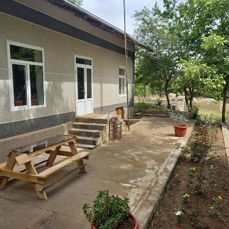 Forest Guest House Mirzakishlak Zewnętrze zdjęcie