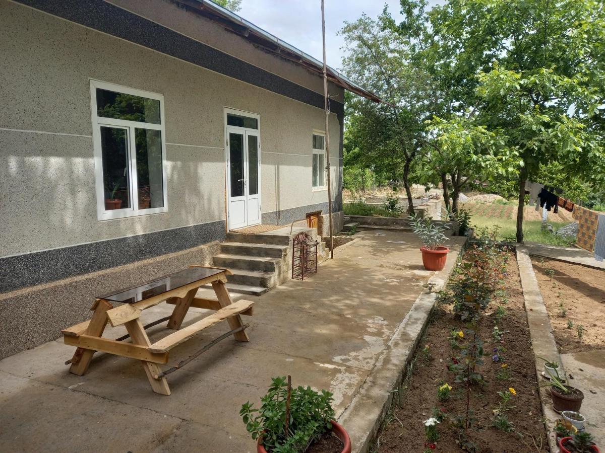 Forest Guest House Mirzakishlak Zewnętrze zdjęcie
