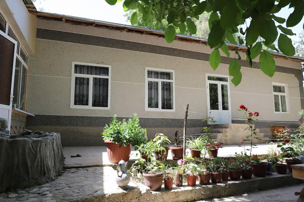 Forest Guest House Mirzakishlak Zewnętrze zdjęcie